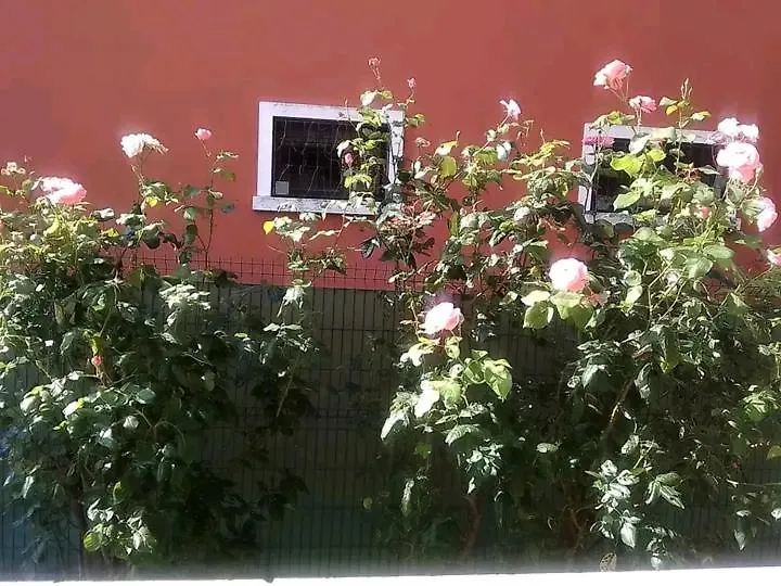 Apartment Appartamento Bardolino